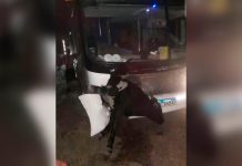 Un micro con hinchas de Estudiantes chocó contra una vaca cuando volvían a La Plata tras la final con Rosario Central