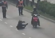 Video: atropelló a una inspectora de tránsito, se fugó y terminó detenida tras una intensa persecución