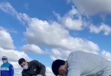 Video: dos lobos marinos fueron liberados en su hábitat natural luego de rehabilitarse en el Ecoparque