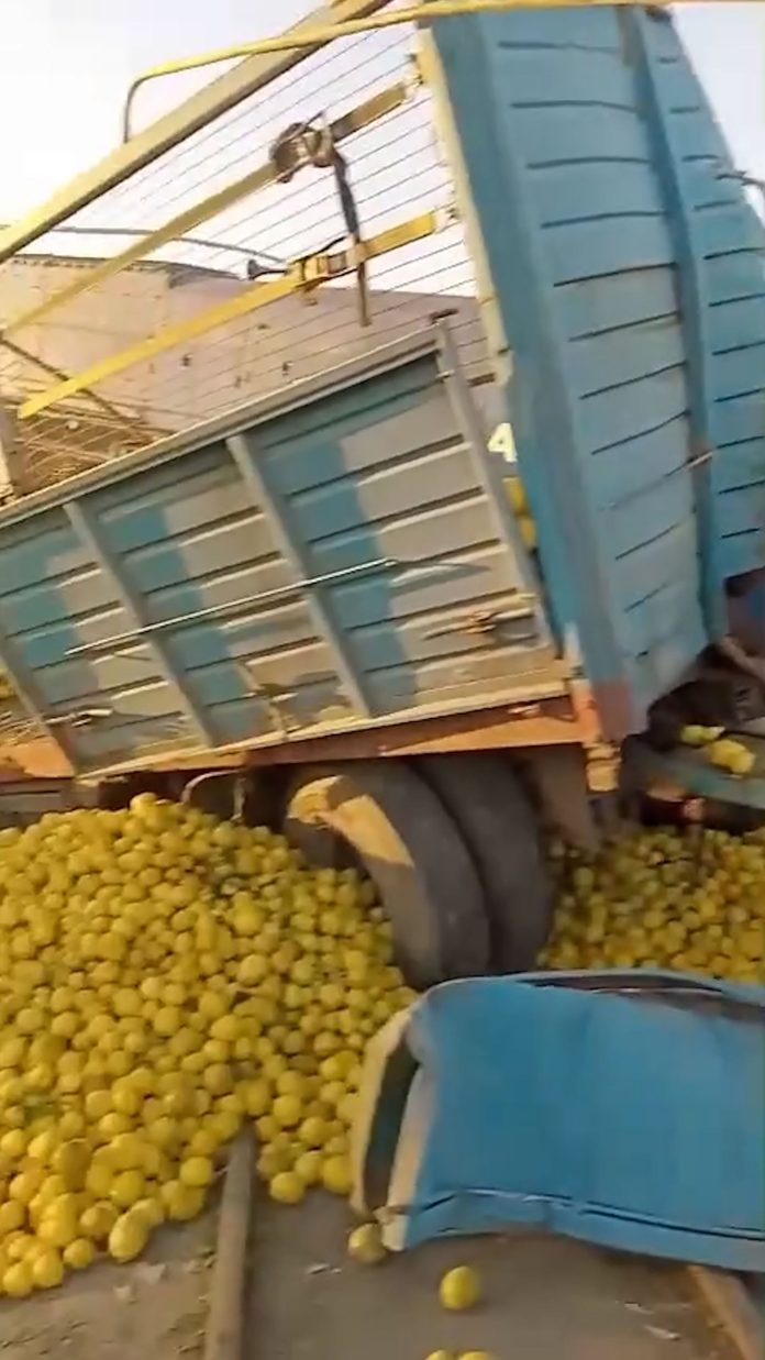 Violento choque entre un tren y un camión que transportaba limones en Tucumán