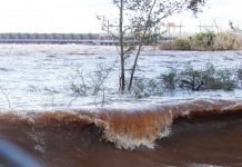 Aumentó la cifra de evacuados por la crecida del río Uruguay y advirtieron que el Paraná superó su promedio histórico
