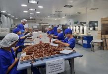 Cuáles serán los nuevos controles sobre el fentanilo si el Senado transforma en ley la iniciativa aprobada en Diputados