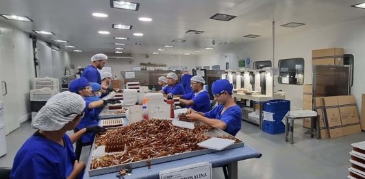 Cuáles serán los nuevos controles sobre el fentanilo si el Senado transforma en ley la iniciativa aprobada en Diputados