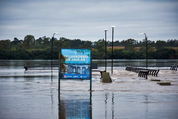 El Niño: el río Uruguay llegó a los 11,50 metros en Concordia y anticipan una nueva crecida para la próxima semana
