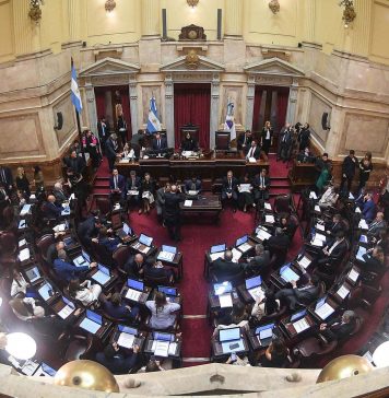 El Senado aprobó cambios en la ley de salud mental: se modifican criterios de internaciones y equipos médicos