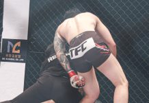 Insólito accidente en una pelea de MMA: noqueó a su rival, pero el árbitro lo lesionó cuando paró el combate