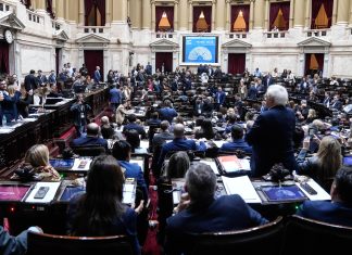 La reacción de la política al amplio acuerdo que permitió dar media sanción al proyecto de Discapacidad