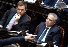 Massot y Pichetto presentaron una cautelar para frenar la venta ilimitada de tierras a extranjeros