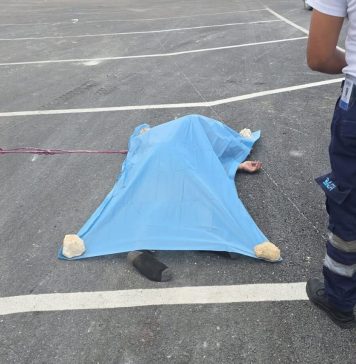 Murió un argentino en Punta Cana: un camión hizo una mala maniobra, lo hizo caer y lo arrolló