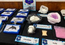 Pilotos de automovilismo y cocaína con un delfín como sello: cayó una banda narco de Mar del Plata