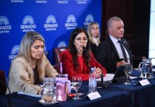 Senado: se demoran las firmas para dictaminar la ley de salud mental y hay disidencias de los aliados
