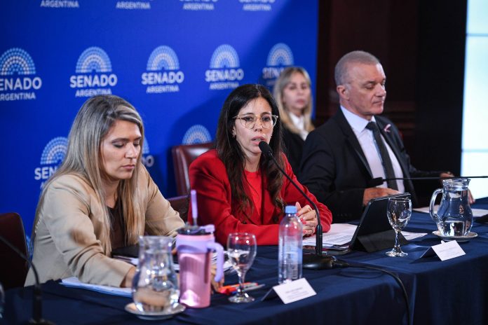 Senado: se demoran las firmas para dictaminar la ley de salud mental y hay disidencias de los aliados