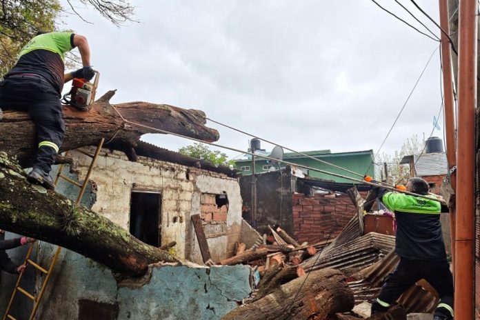 Un árbol cayó sobre una vivienda y destruyó dos casas en Rosario: una madre y sus hijos quedaron atrapados