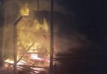 Una mujer embarazada sobrevivió a un impactante incendio en una maderera de La Plata