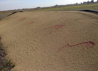 Vandalismo rural: qué dice el proyecto de ley que obtuvo dictamen de comisión y por qué lo cuestiona la oposición
